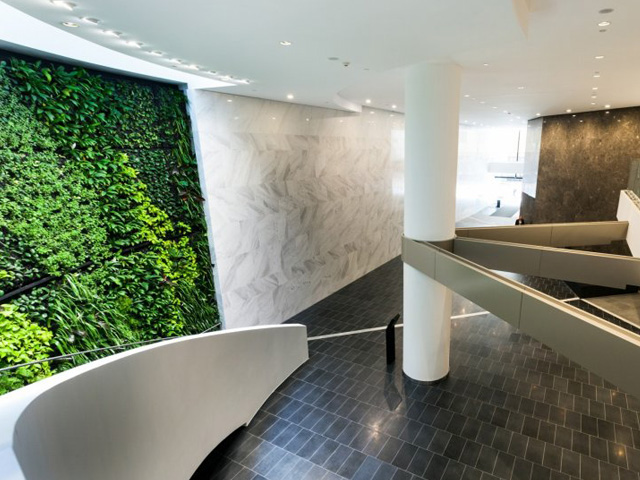Greenwalls a Growing Business